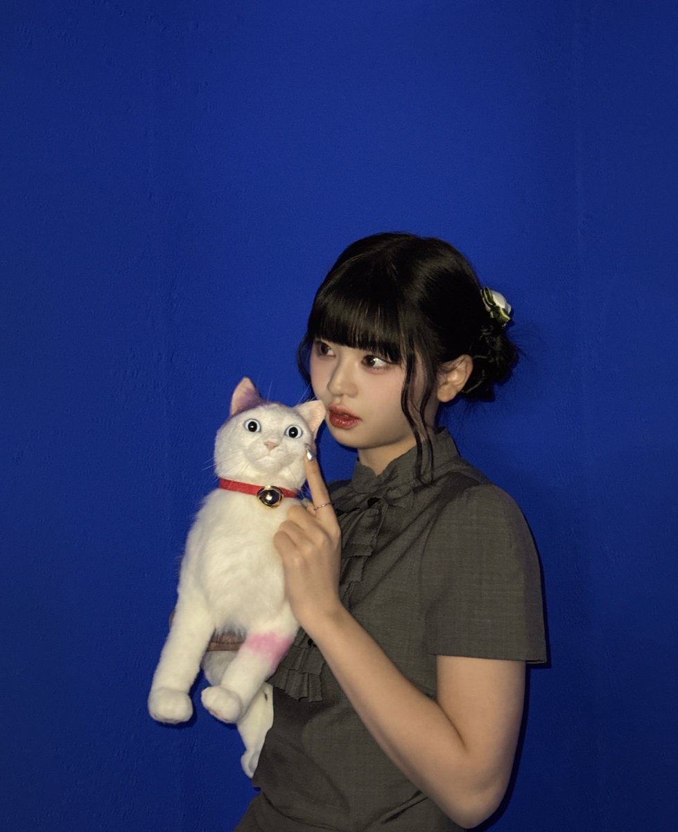 猫さん 櫻 on X: 