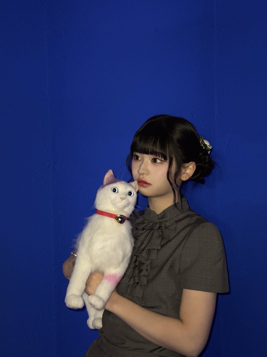 ネコさんとりんりん🐈🐈‍⬛🎀

#RINON 
#ME_I #ミーアイ