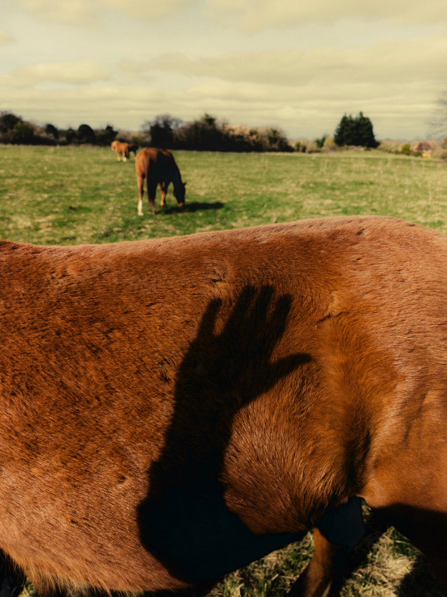 Nicolas Leconte tweet media