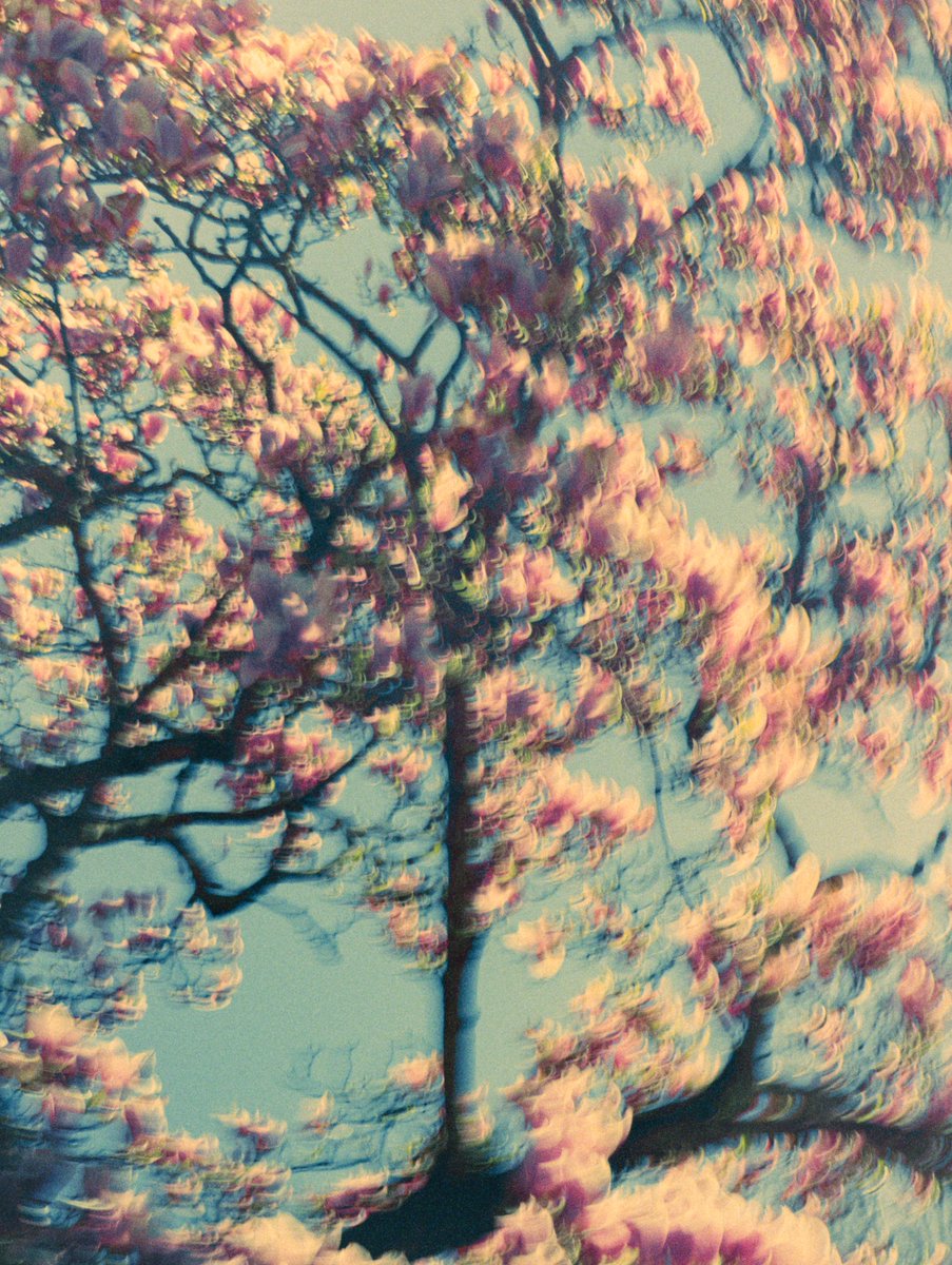 Nicolas Leconte tweet media