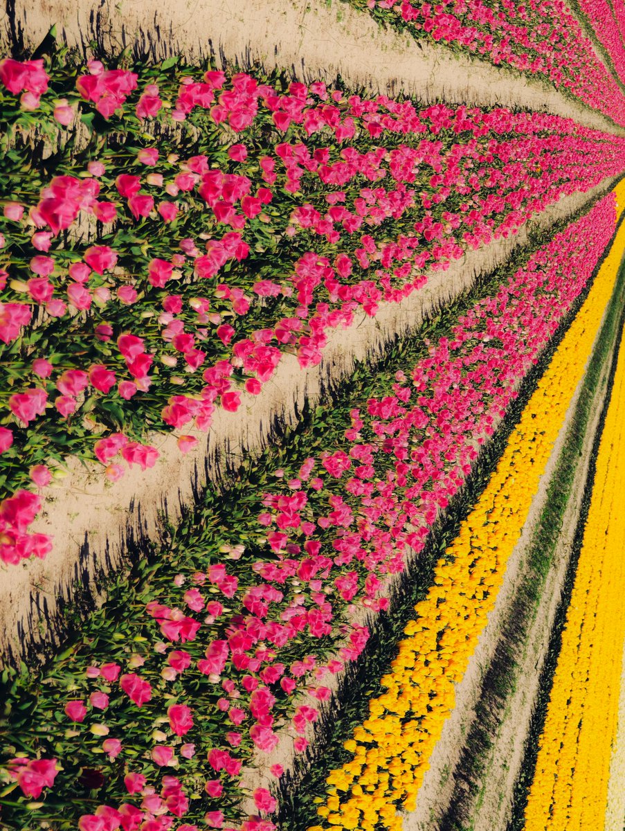 Nicolas Leconte tweet media