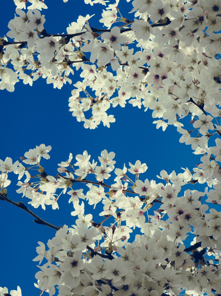 Nicolas Leconte tweet media