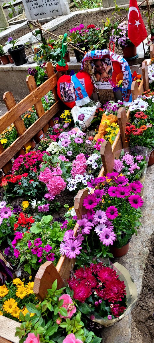 Bu millet bırakır mı orayı öyle sandınız!!hainler militanlar!
#AhmetMinguzziEmsalOlsun 
#MattiaAhmetMinguzzi @Nero_0148 🤍🙏