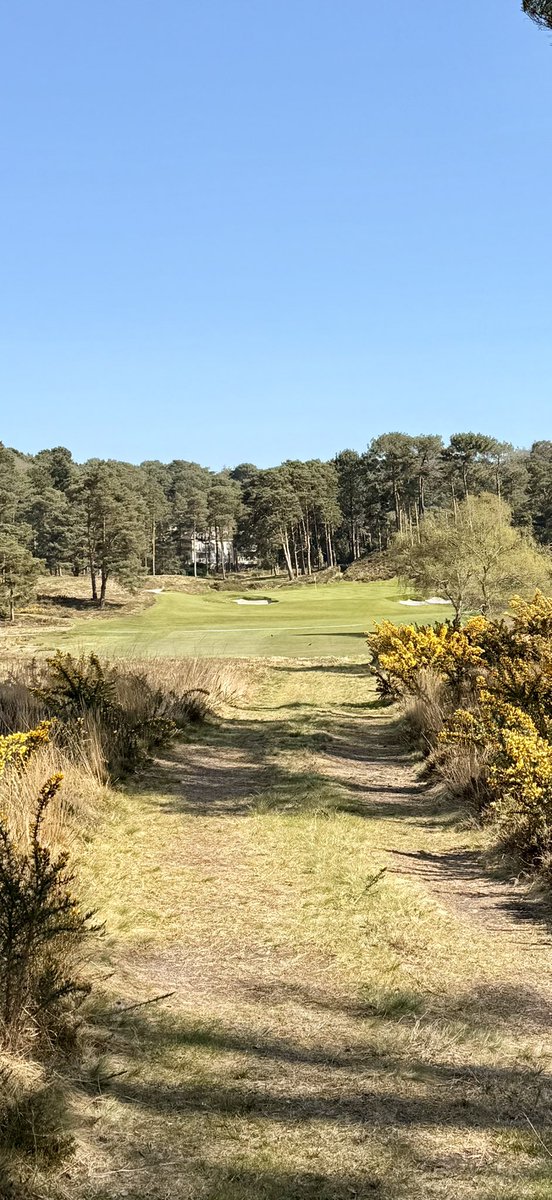 Dorset Golfer tweet media