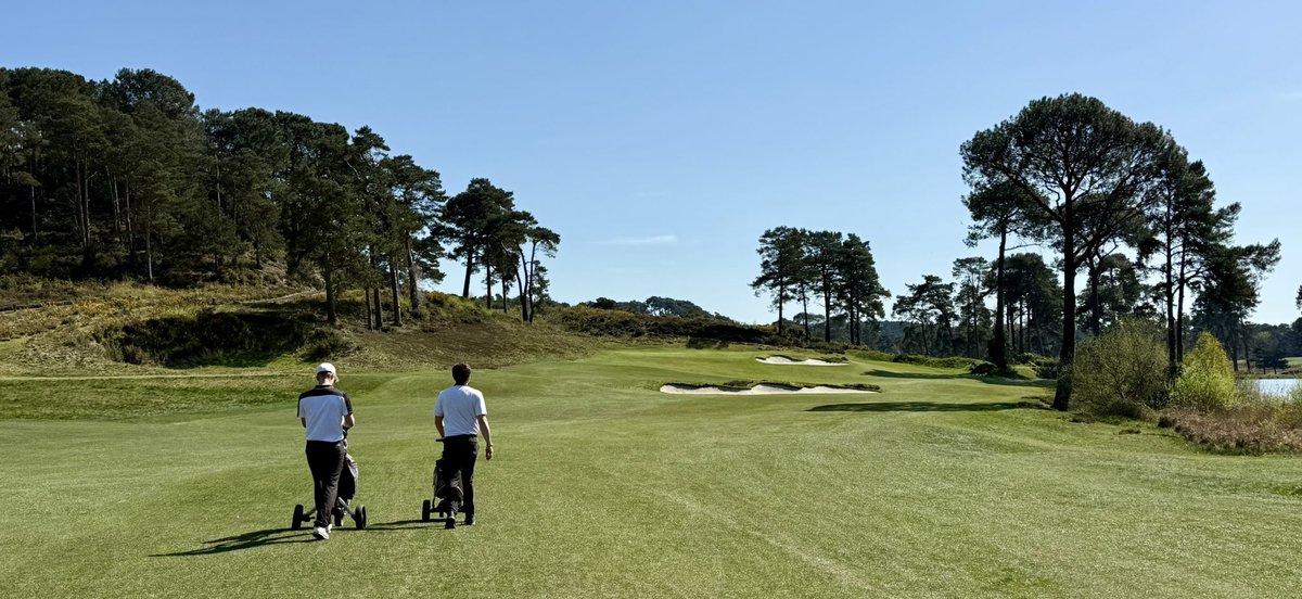 Dorset Golfer tweet media