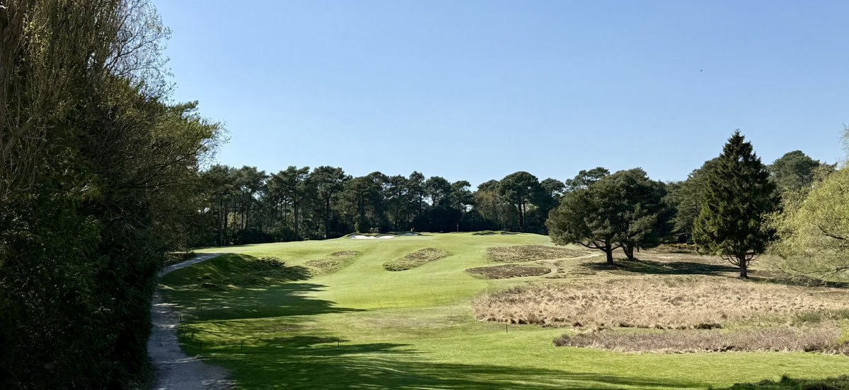 Dorset Golfer tweet media