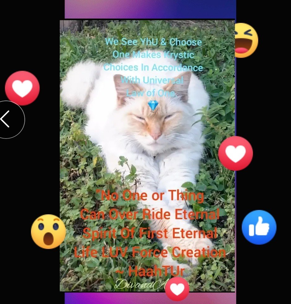 DivanaAyhea's tweet image. Aah
[#Kitty haahTUrs #all #wakingup #too! #Calling to #mind #talents #gifts #heritage, #been #dormant, #yet #all #ways #owned. #Frequency #fence #keeps #on #coming #down. #Keep #playing #awakening #babe!  #We #Got #This! 😀
#Sweetest #Nectar #Ever 🙏
~SamayahA'nanda]