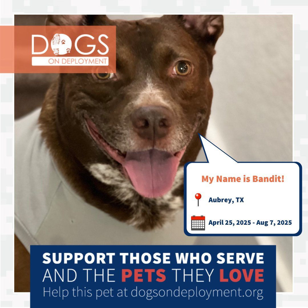 DogsonDeploymnt's tweet photo. Calling all dog lovers in Florida and Texas! Loki and Bandit are looking for DoD Boarders!
Loki: https://t.co/ZS49lmxhkE
Bandit: https://t.co/XHyRQSPDvR
(Must be registered as a DoD Boarder & logged on to view all info)
#DoDFoster #FosterPet #DogsonDeployment #Florida #Texas https://t.co/Do9WusTBjG