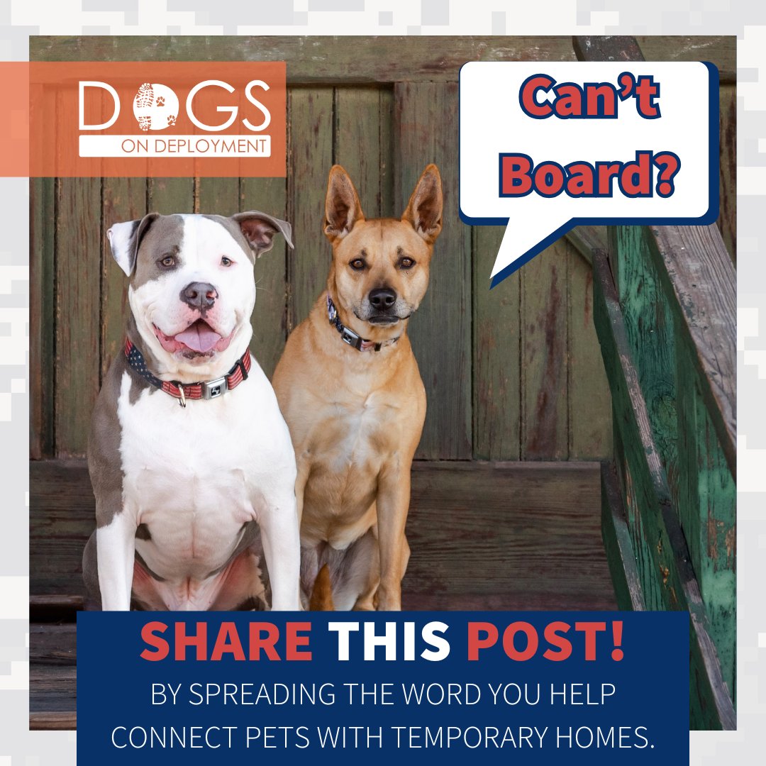 DogsonDeploymnt's tweet photo. Calling all dog lovers in Florida and Texas! Loki and Bandit are looking for DoD Boarders!
Loki: https://t.co/ZS49lmxhkE
Bandit: https://t.co/XHyRQSPDvR
(Must be registered as a DoD Boarder & logged on to view all info)
#DoDFoster #FosterPet #DogsonDeployment #Florida #Texas https://t.co/Do9WusTBjG