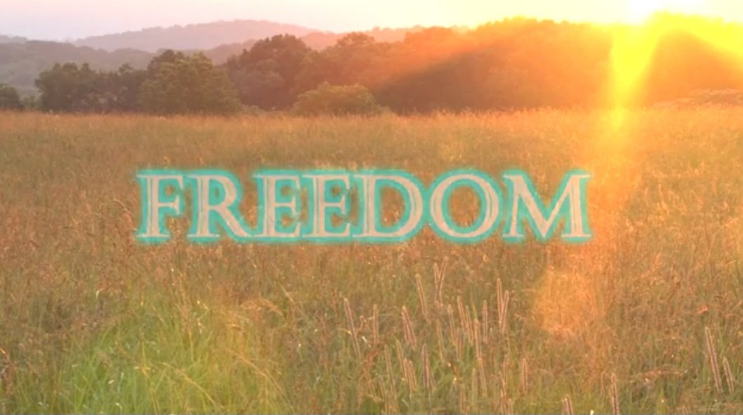 DivanaAyhea's tweet image. Aah
[#Kitty haahTUrs #all #wakingup #too! #Calling to #mind #talents #gifts #heritage, #been #dormant, #yet #all #ways #owned. #Frequency #fence #keeps #on #coming #down. #Keep #playing #awakening #babe!  #We #Got #This! 😀
#Sweetest #Nectar #Ever 🙏
~SamayahA'nanda]