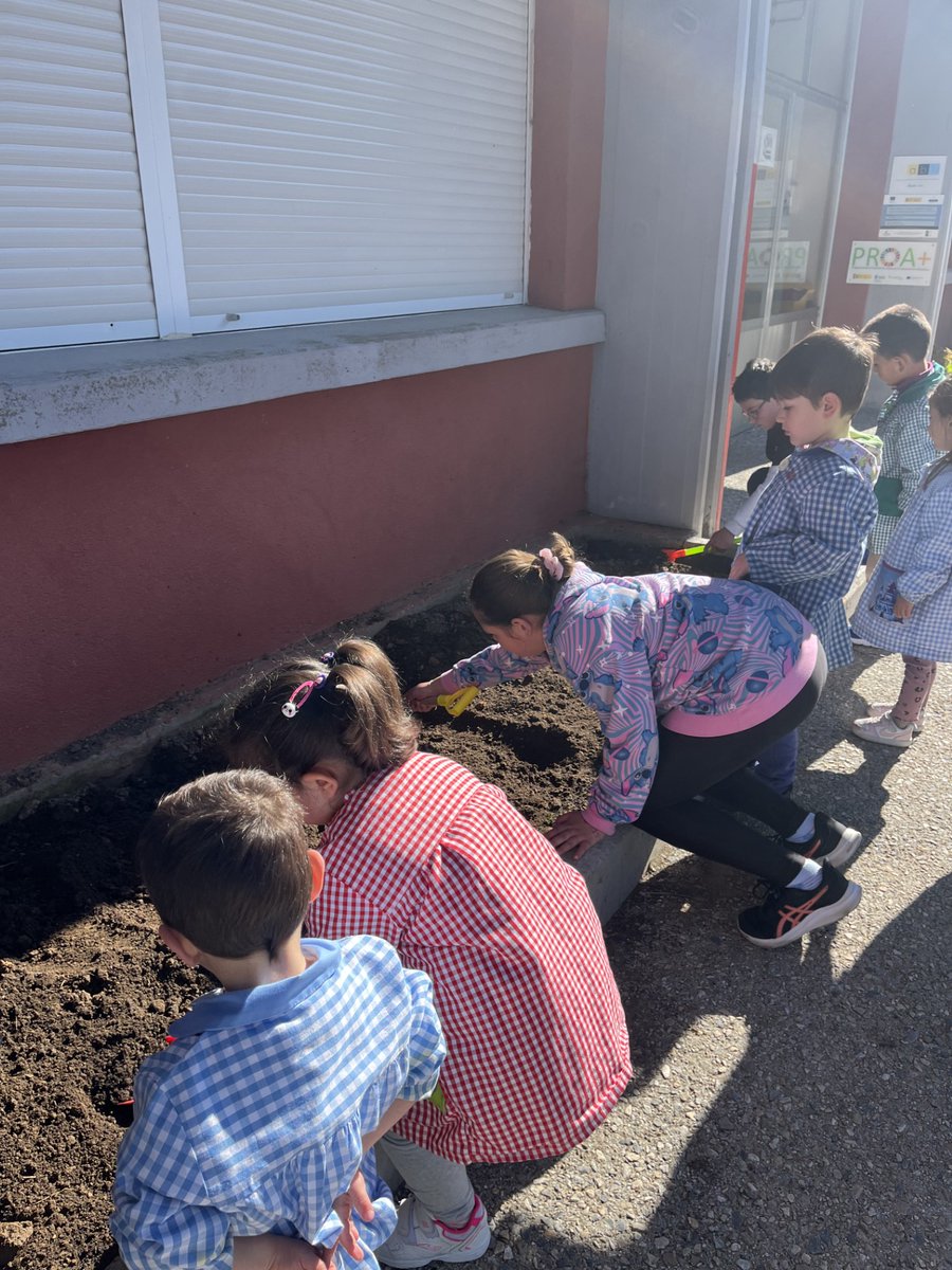¡Arrancamos con el huerto escolar!

Cada clase ya tiene su propia jardinera, y hoy los peques han trabajado juntos para prepararlas con mucha ilusión 🌱👩‍🌾👨‍🌾

¡Qué emoción verlos tan motivados!

¿Tendremos suerte y recogeremos algo antes de que acabe el curso? ¡Esperamos que sí!