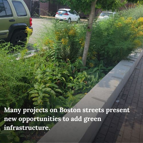 BosGreenIn's tweet photo. The Office Of Green Infrastructure is proud to announce a revised Green Infrastructure Streets Policy that outlines the inclusion of new Green Infrastructure in future streets projects and much more! Learn more here: https://t.co/4WUQGIjZIT https://t.co/8cWzgwINSs