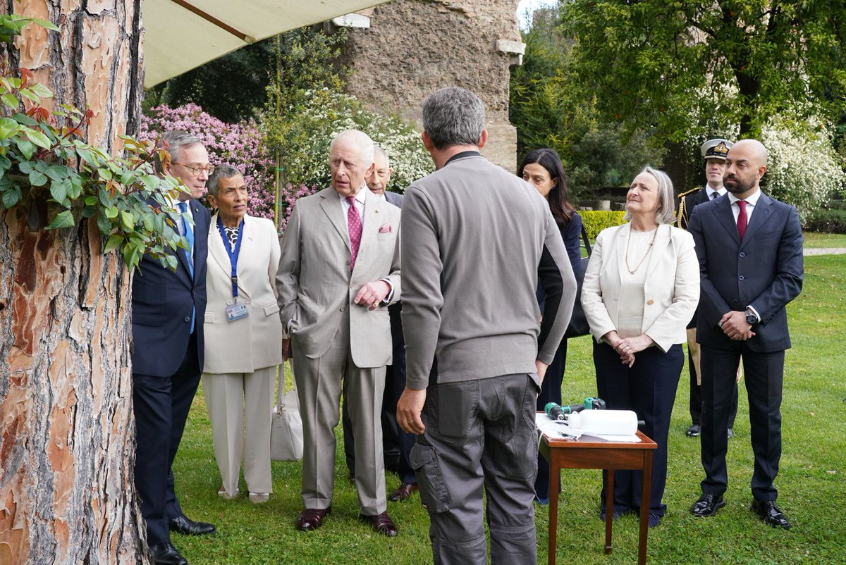 Sabrina Alfonsi tweet media