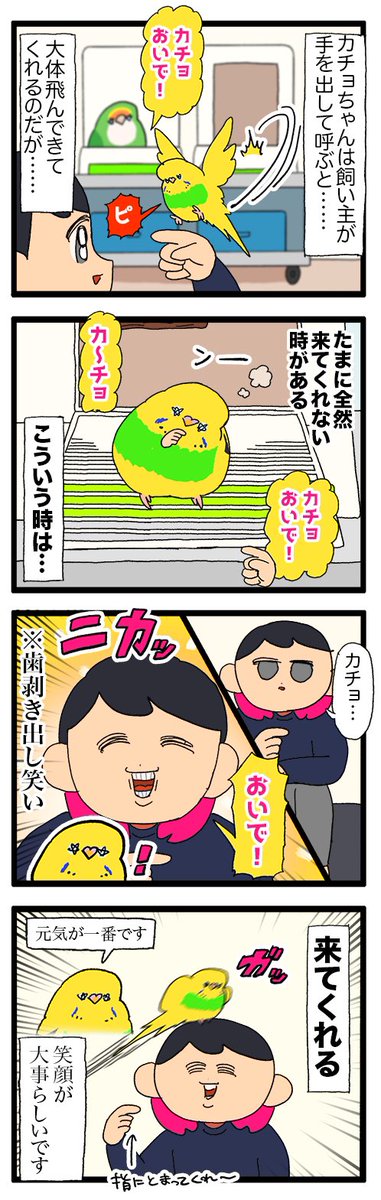 カチョちゃん、飼い主の歯を剥き出して笑う表情が好きっぽい🦷

2062 #えるポピの絵日記かくところ 