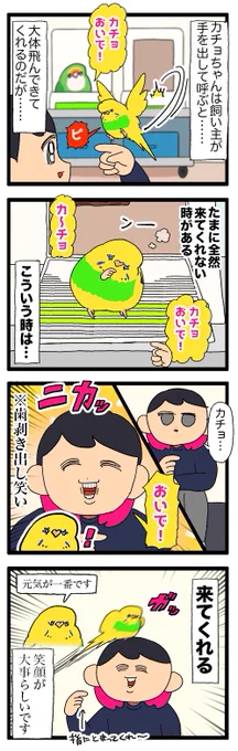 カチョちゃん、飼い主の歯を剥き出して笑う表情が好きっぽい🦷

2062 #えるポピの絵日記かくところ 