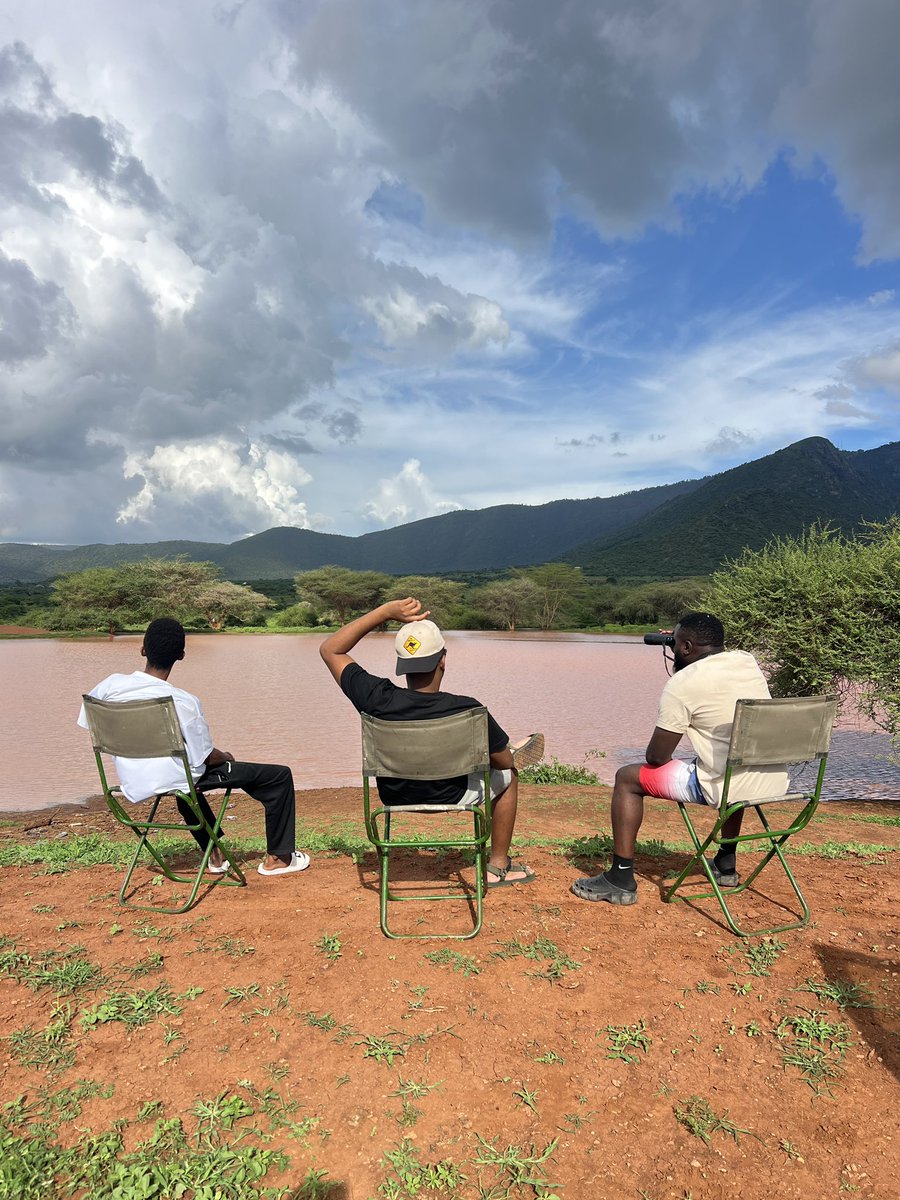 mwaisa_mtumbad tweet media