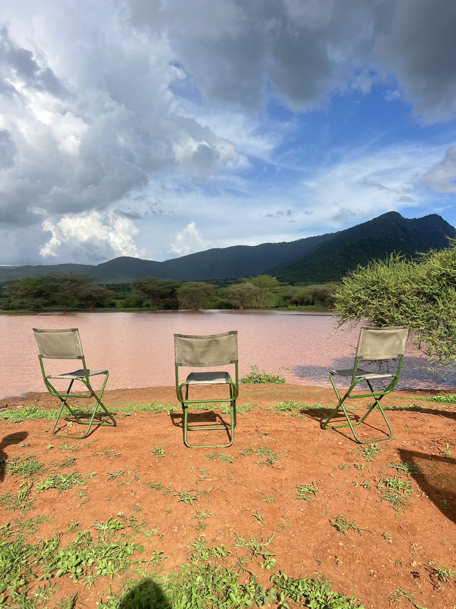 mwaisa_mtumbad tweet media