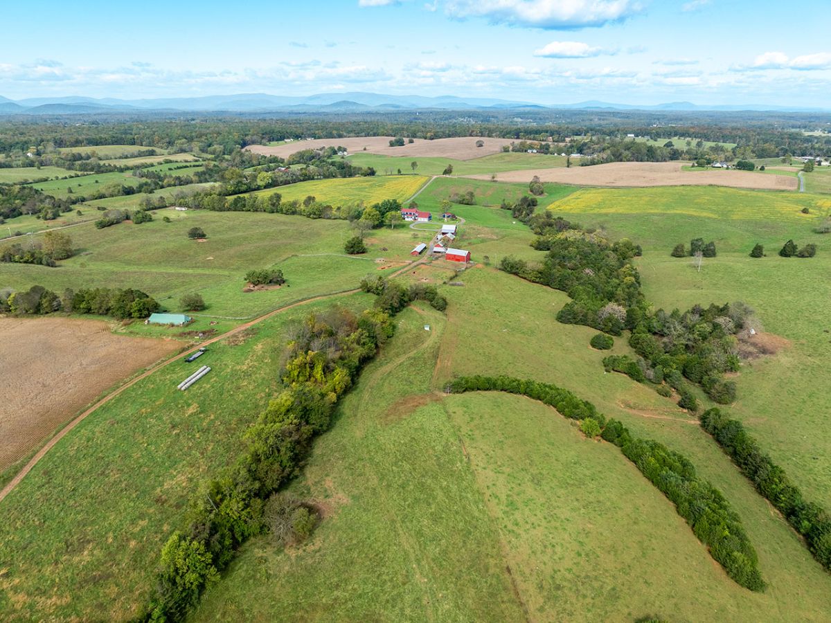 CentralVaFarms's tweet photo. Spring Hill:  A 294 Acre Farm for Sale in Culpeper County, VA - https://t.co/wRLvJr8883
This beautiful and private farm is located within an easy drive to Dulles International Airport and Washington, D.C.  Price Reduced to $3,650,000 https://t.co/fiupGbI5zB
