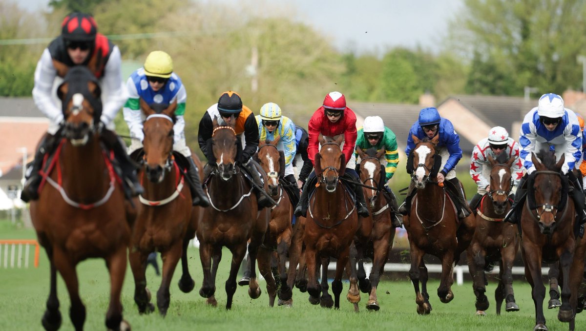 VisitLisburn's tweet photo. Save the date for Fibrus Family Race Day! ๐ด
๐
Sunday 13th April
๐ Down Royal Racecourse
@downroyalracecourse
#VisitLisburnCastlereagh #BelfastPlus #DiscoverNI #WhatsOnNI #DownRoyalRacecourse #Lisburn https://t.co/CfxtTtMoZs