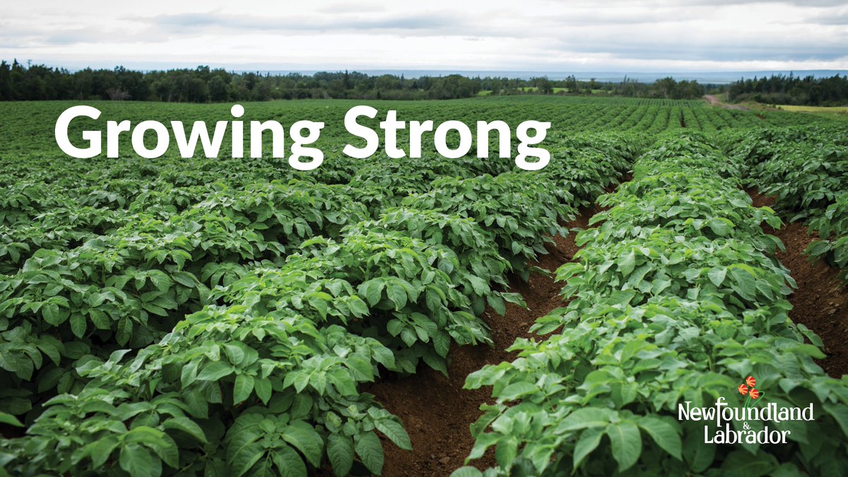 Fisheries, Forestry and Agriculture NL (@ffa_govnl) on Twitter photo Applications are open for the 2025 Provincial Agrifoods Assistance Program to support established farmers & new entrants who are growing NL’s agriculture & agrifoods sectors. The deadline to apply is April 25. More info: gov.nl.ca/releases/2025/…
<a href="/NLFarms/">NL Federation of Agriculture</a> <a href="/NLYoungFarmers/">Newfoundland & Labrador Young Farmers</a> #GovNL Applications are open for the 2025 Provincial Agrifoods Assistance Program to support established farmers & new entrants who are growing NL’s agriculture & agrifoods sectors. The deadline to apply is April 25. More info: gov.nl.ca/releases/2025/…
<a href="/NLFarms/">NL Federation of Agriculture</a> <a href="/NLYoungFarmers/">Newfoundland & Labrador Young Farmers</a> #GovNL