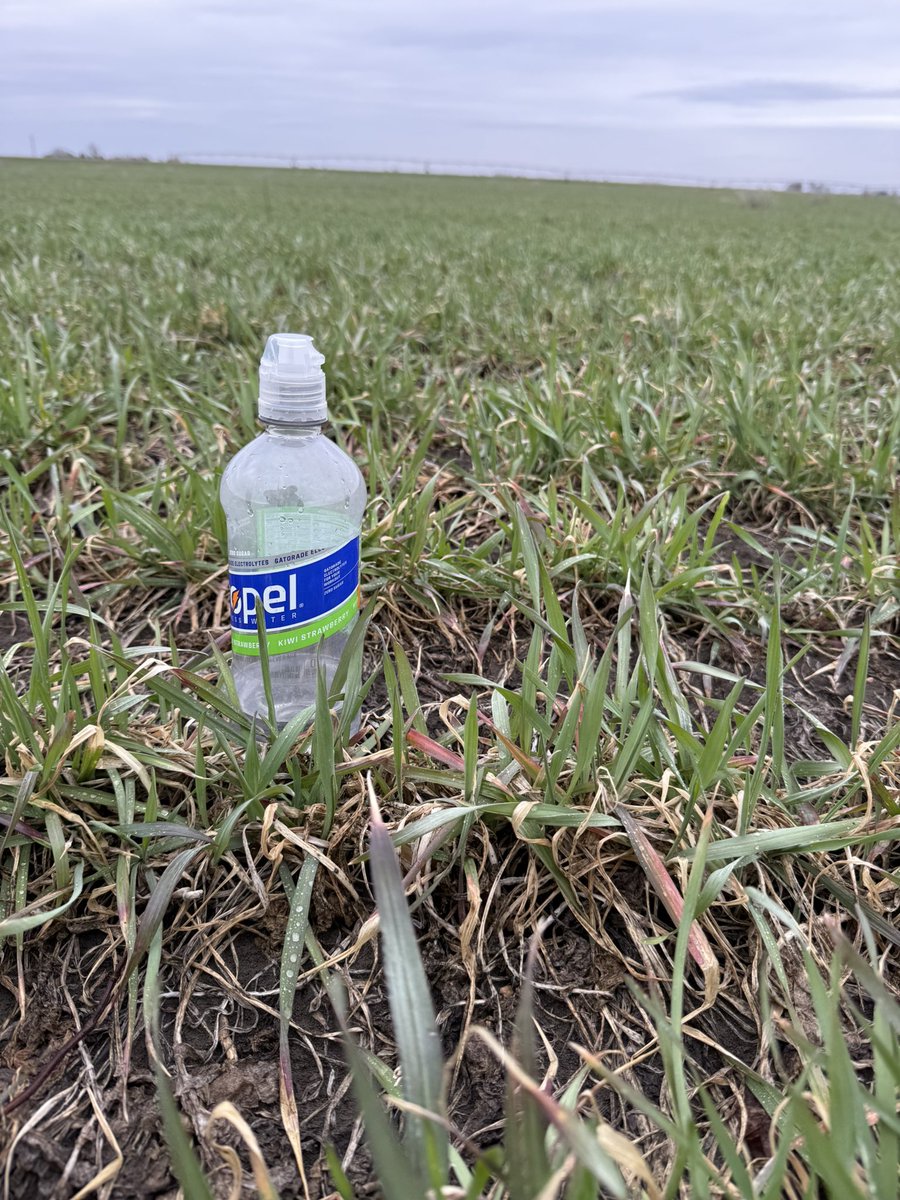 Q Connealy tweet media