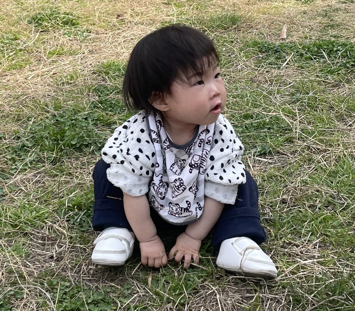 shthys's tweet photo. つむぎ https://t.co/YwKxPRkVaX