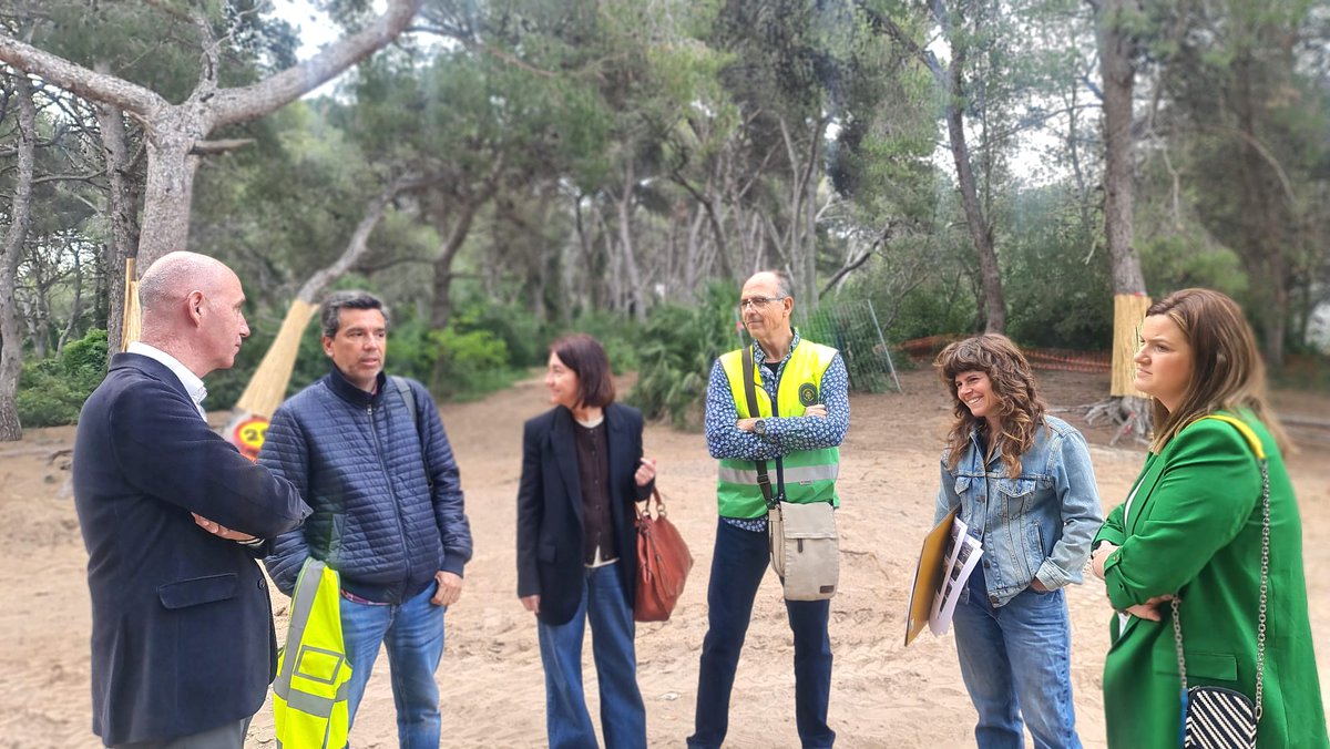 Servici Devesa-Albufera tweet media
