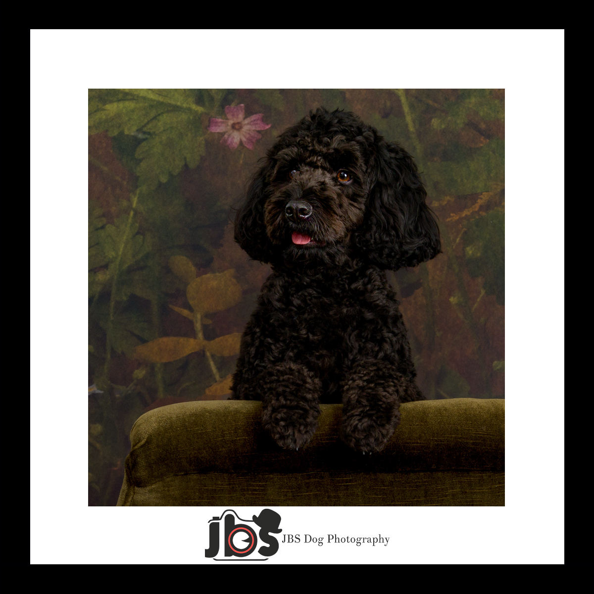 jbs_dog's tweet photo. ✨👑 How regal does Dougie look on our stunning green chair? 🐾💚 Want to give your furry friend the royal treatment they deserve? 🌟 Capture these precious moments and create a keepsake you'll cherish forever! 📸❤️ Contact us today to find out more! 🐶✨ #RoyalPawtraits https://t.co/HGqS9iiMyC