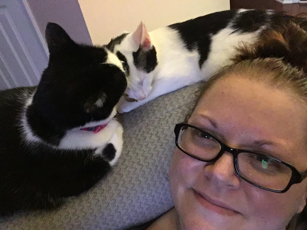 Greenlink Transit tweet media