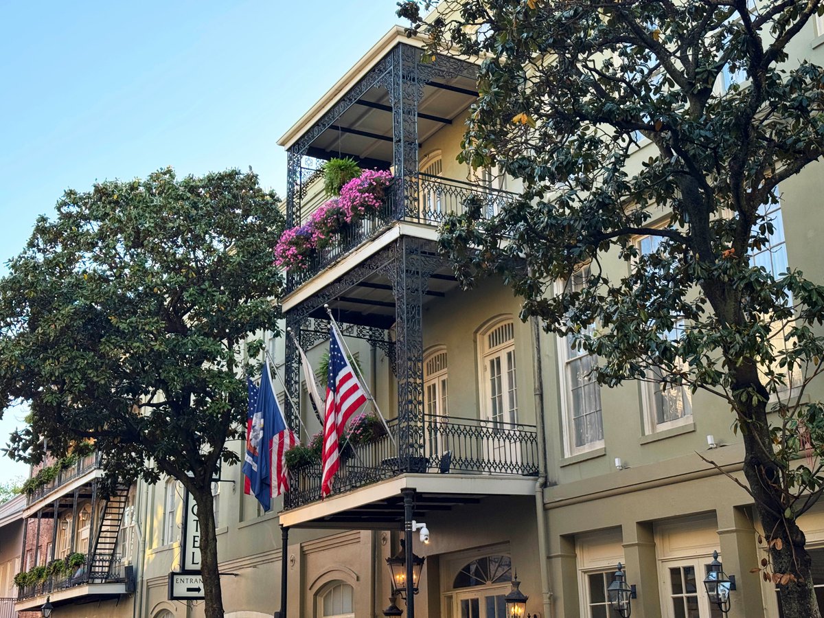 David Nola tweet media