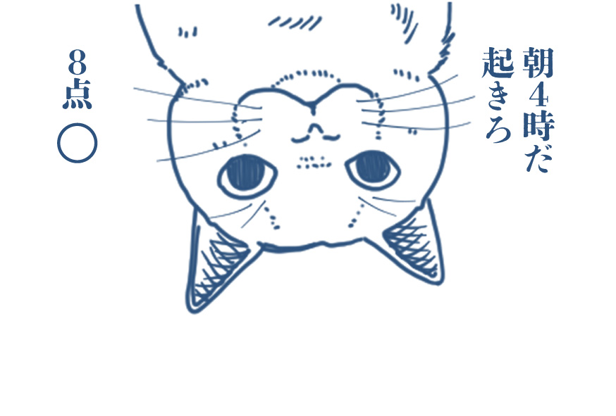 猫点取占い(続き) 