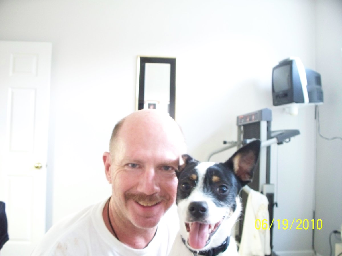 Greenlink Transit tweet media