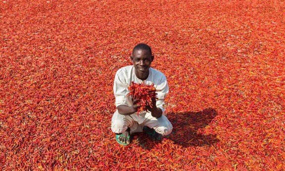 GanjaYorub15579's tweet photo. Gwam Gwam Gwam tell me the tribe that fought a 16 years old war and kpaied themselves for ordinary pepper? https://t.co/xHFXWrkhjh