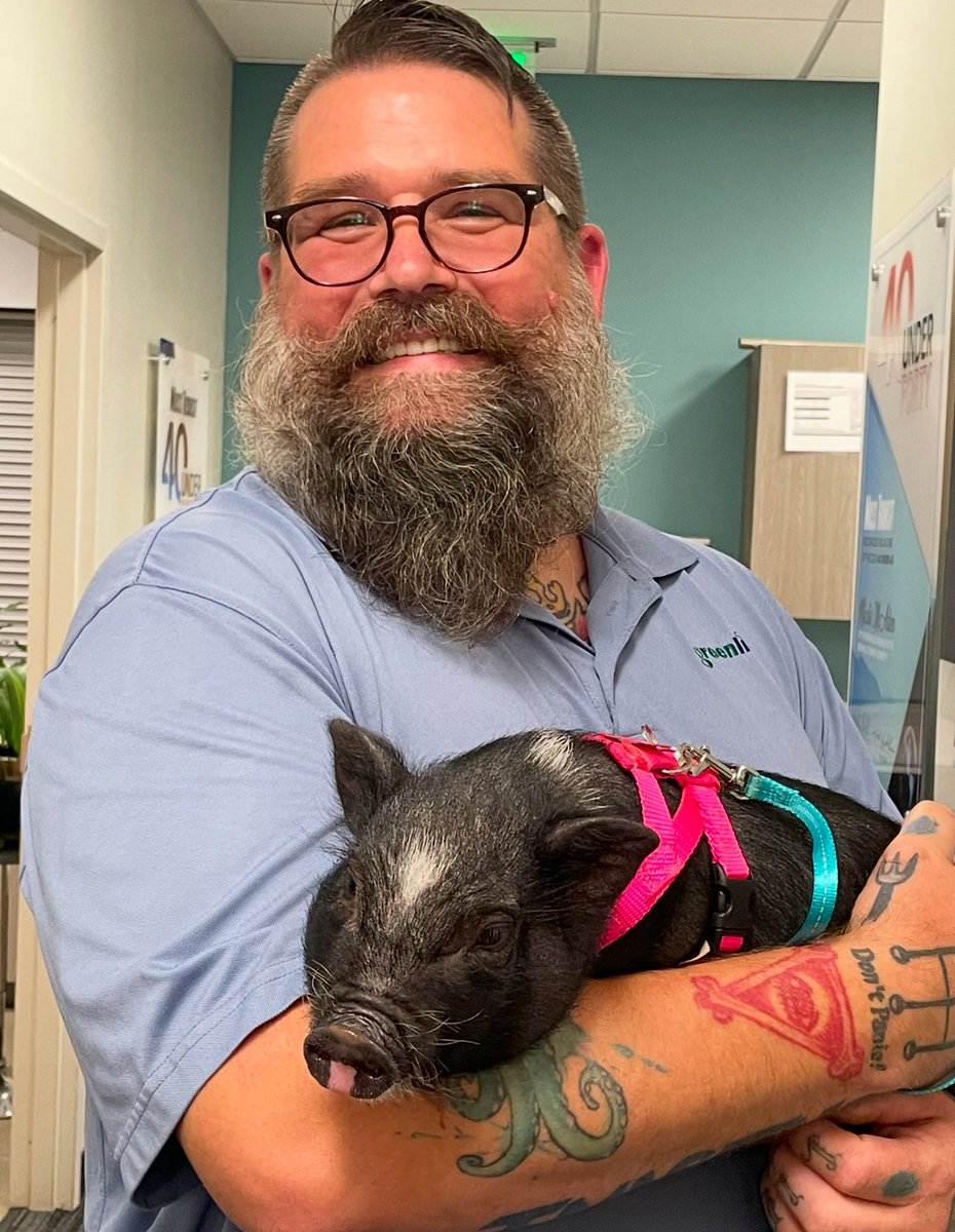 Greenlink Transit tweet media