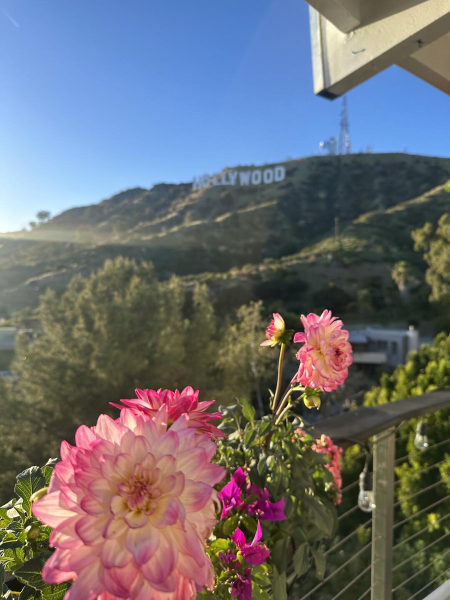 Ke3mberl's tweet photo. Life in Los Angeles, California ☀️🌴 https://t.co/z5e0YcRywx
