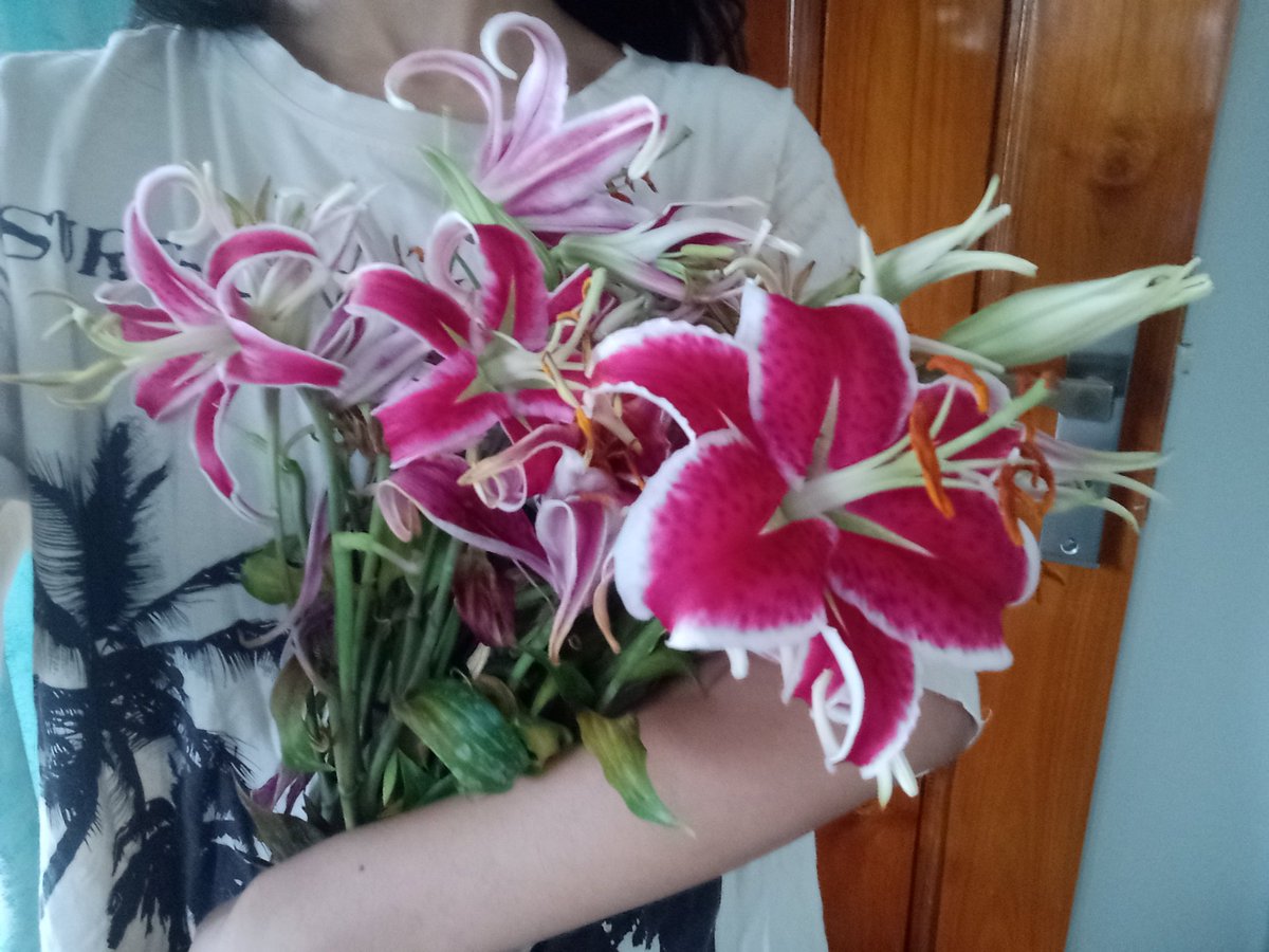 Maths Verstappen tweet media