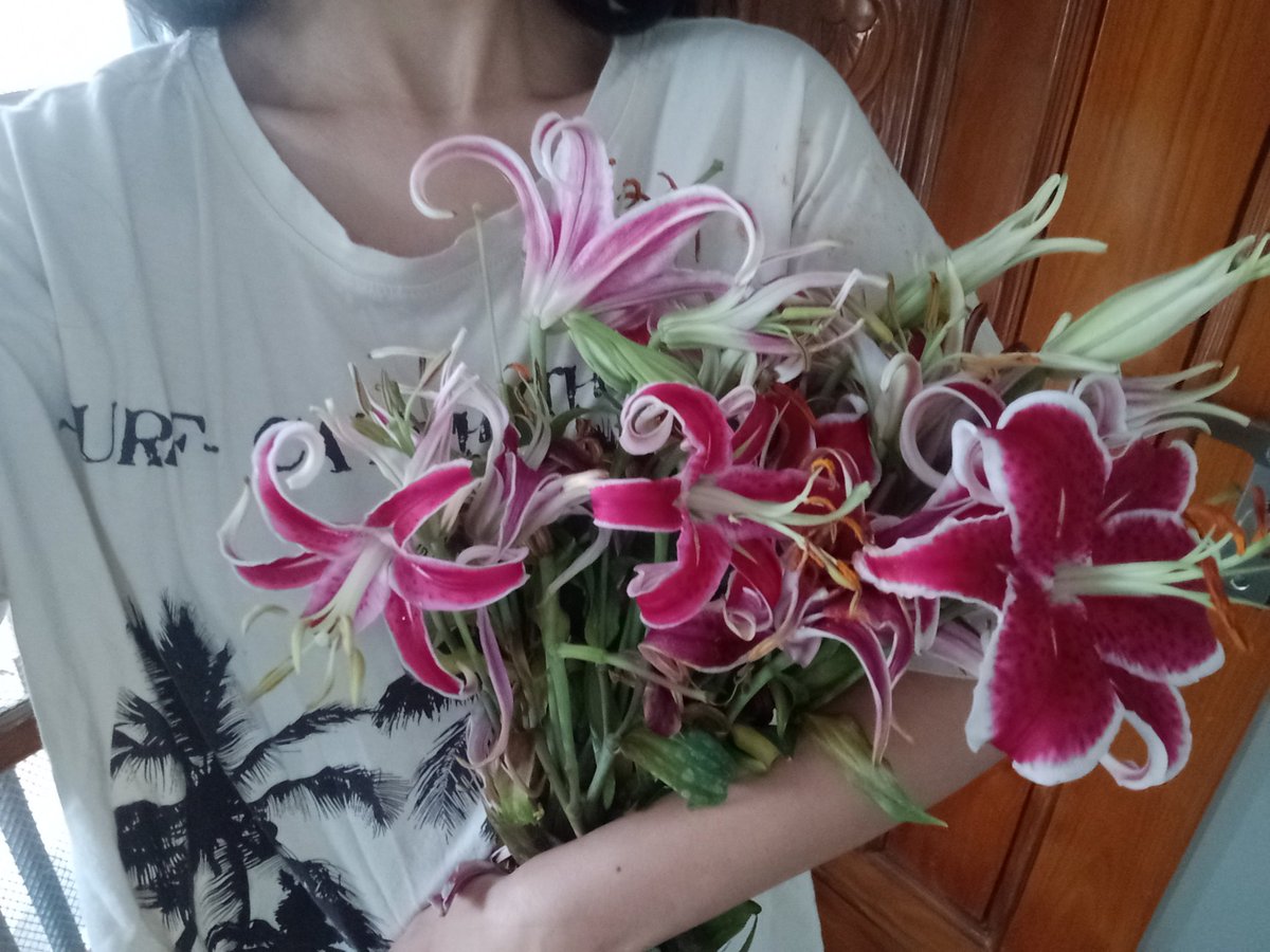 Maths Verstappen tweet media