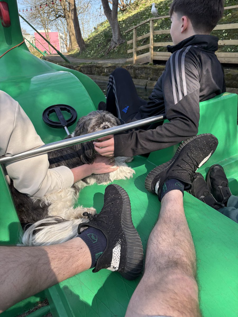 Ted on a Ped-alo in Scarborough! What more could you want in life 😉🐶