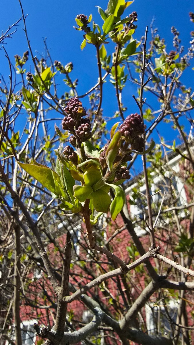 Eric Fisher tweet media