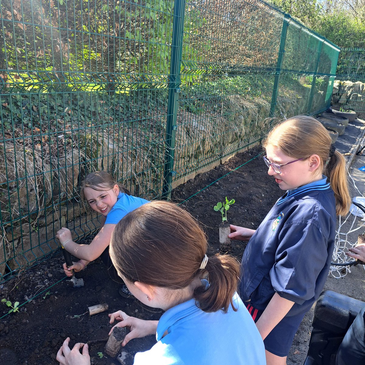 Bodyke N.S. tweet media