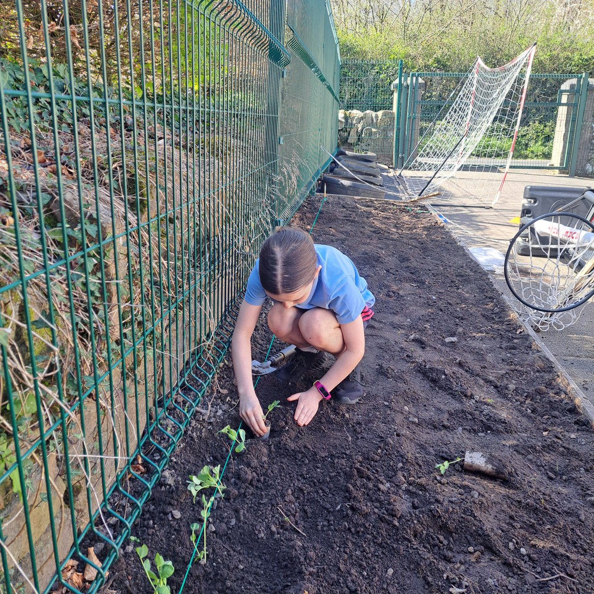 Bodyke N.S. tweet media