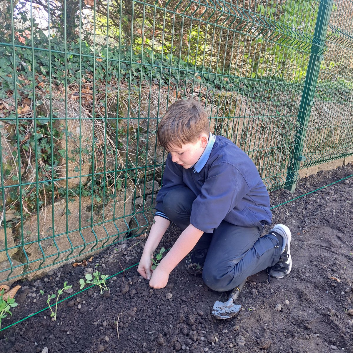 Bodyke N.S. tweet media