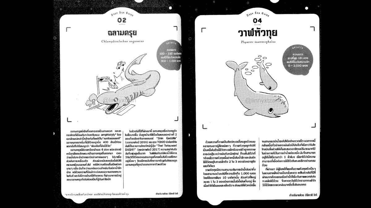 หลิน 🐈‍⬛ tweet media