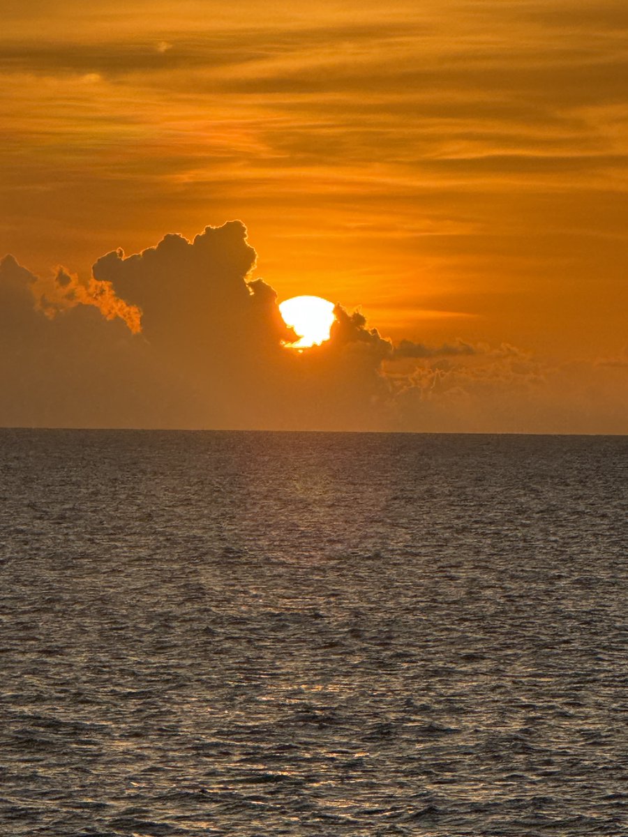 Hotel Sunset tweet media