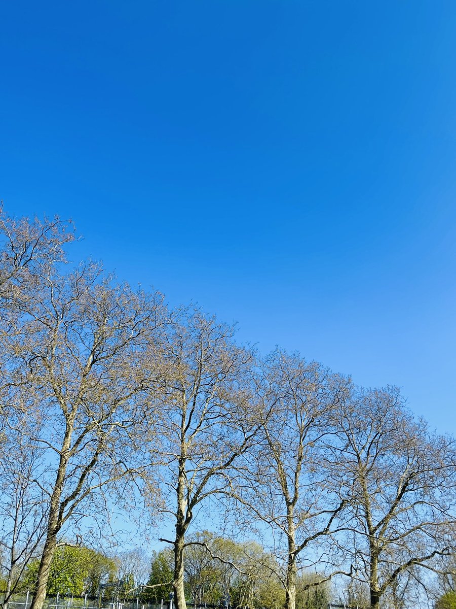 It’s been 2 months to the day since my beloved Pappa passed away. Today, am taking in the beauty of our local park, the sounds of children playing and birdsong. No better way to spend the day in the sun’s warmth and remember the good times.