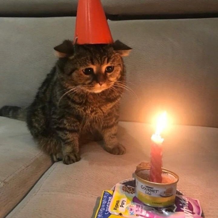 ✦ Bones ✦ tweet media