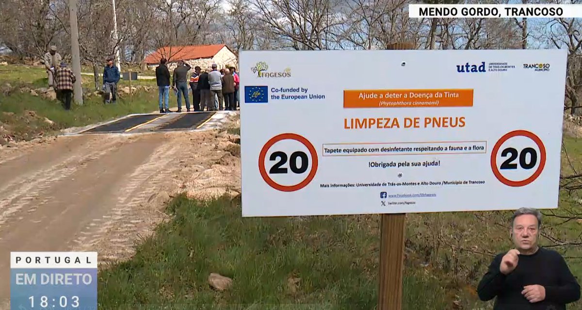 Progetto Life Fagesos (@fagesos) on Twitter photo #LIFEFagesos was featured on ๐ต๐น RTP1! ๐บ
Weโre fighting Phytophthora cinnamomi ๐ฑ๐ก๏ธ with boot & tire cleaning stations ๐งผ๐ to protect Mediterranean biodiversity ๐ฟ๐Thanks to UTAD ๐ & RTP1! ๐
โถ๏ธ (from 15:34): rtp.pt/play/p14264/e8โฆ
#LIFEAmplifiers #LIFEprogramme #LIFEFagesos #LIFEFagesos was featured on ๐ต๐น RTP1! ๐บ
Weโre fighting Phytophthora cinnamomi ๐ฑ๐ก๏ธ with boot & tire cleaning stations ๐งผ๐ to protect Mediterranean biodiversity ๐ฟ๐Thanks to UTAD ๐ & RTP1! ๐
โถ๏ธ (from 15:34): rtp.pt/play/p14264/e8โฆ
#LIFEAmplifiers #LIFEprogramme #LIFEFagesos