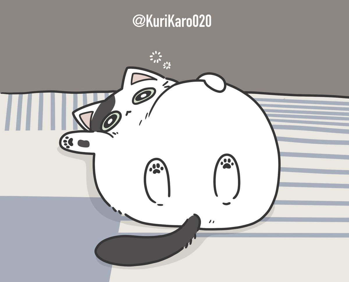 KuriKaro020's tweet photo. すごくかわいい!! ｷﾗ(𖦹✪��✪𖦹)ｵｵ
 #猫  #落書き https://t.co/ELCZZdWTC9