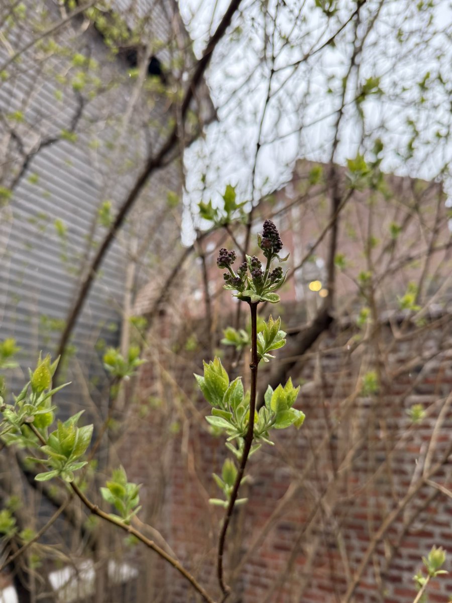 Emily Holmes tweet media