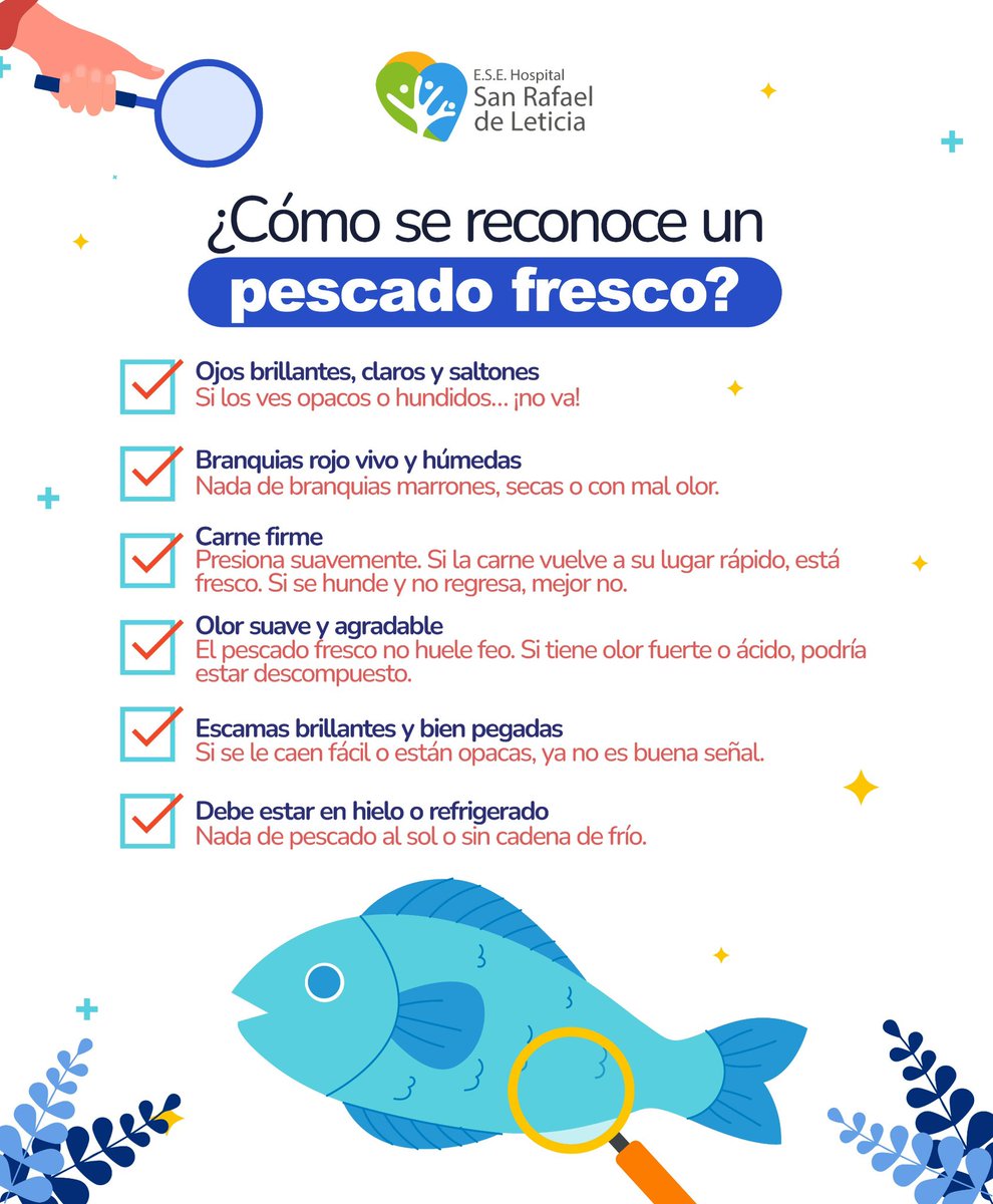 ese_rafael's tweet photo. 🐟 En Semana Santa, el pescado es el protagonista.
Por eso, te compartimos algunos consejos para elegirlo correctamente y evitar contratiempos en la salud por enfermedades transmitidas por alimentos.
#HospitalSanRafael #Prevención https://t.co/K9iww5C0nb